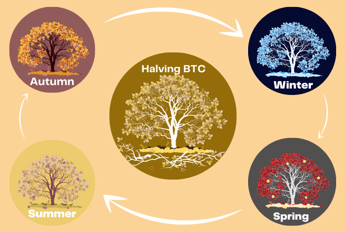 bitcoin seasons cycle